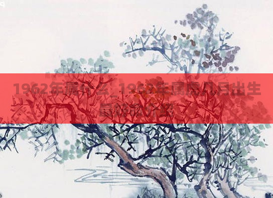 1962年属什么_1962年属虎几月出生最好命介绍