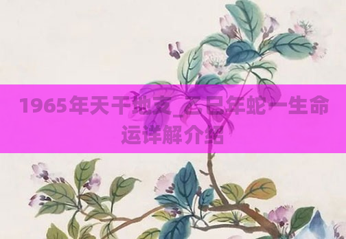 1965年天干地支_乙巳年蛇一生命运详解介绍