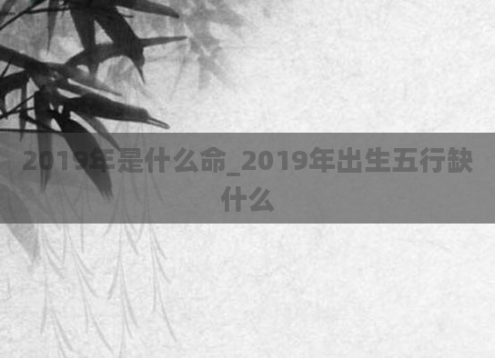 2019年是什么命_2019年出生五行缺什么