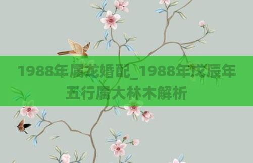 1988年属龙婚配_1988年戊辰年五行属大林木解析