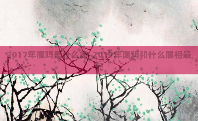 2017年属鸡是什么命_2017年属鸡和什么属相最配