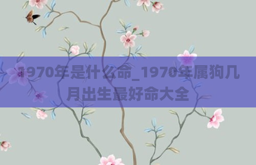 1970年是什么命_1970年属狗几月出生最好命大全