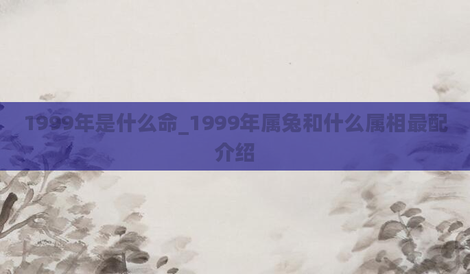 1999年是什么命_1999年属兔和什么属相最配介绍