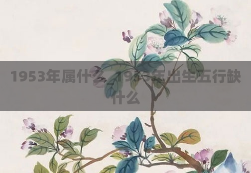1953年属什么_1953年出生五行缺什么