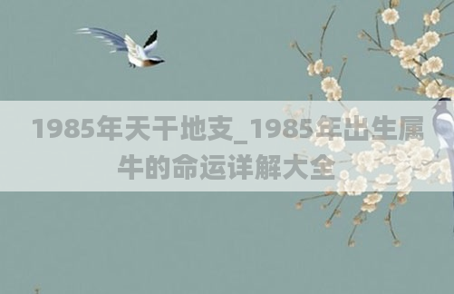 1985年天干地支_1985年出生属牛的命运详解大全
