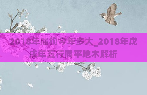 2018年属狗今年多大_2018年戊戌年五行属平地木解析