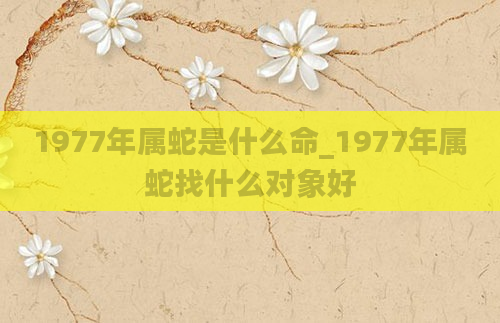 1977年属蛇是什么命_1977年属蛇找什么对象好