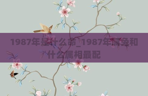 1987年是什么命_1987年属兔和什么属相最配