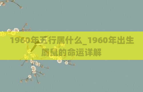 1960年五行属什么_1960年出生属鼠的命运详解