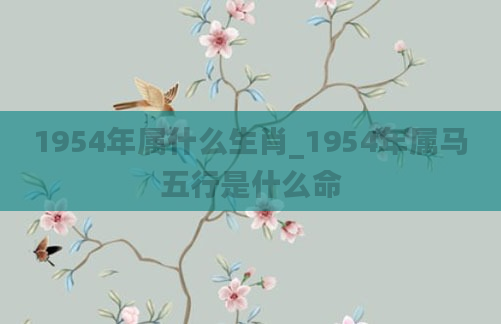 1954年属什么生肖_1954年属马五行是什么命