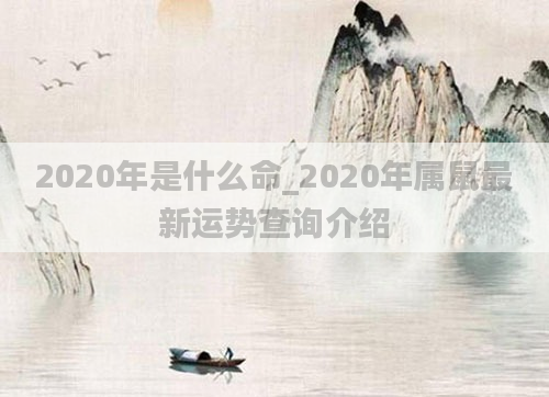 2020年是什么命_2020年属鼠最新运势查询介绍