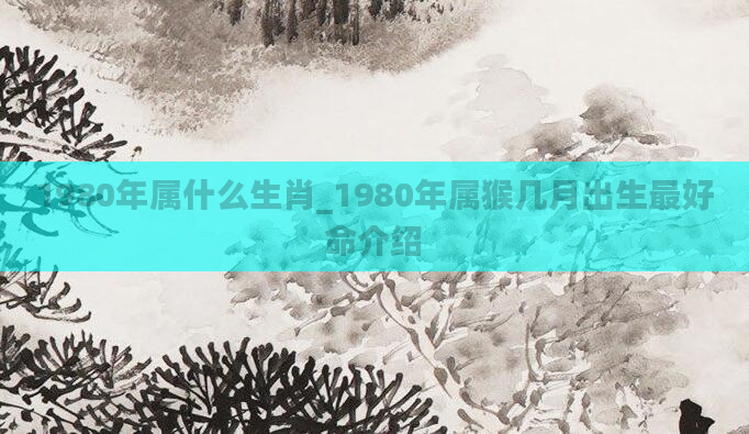 1980年属什么生肖_1980年属猴几月出生最好命介绍