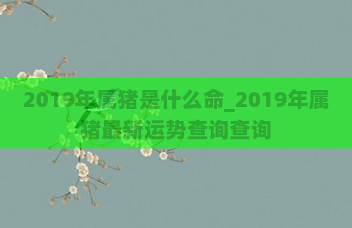 2019年属猪是什么命_2019年属猪最新运势查询查询