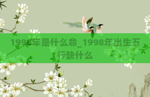 1998年是什么命_1998年出生五行缺什么