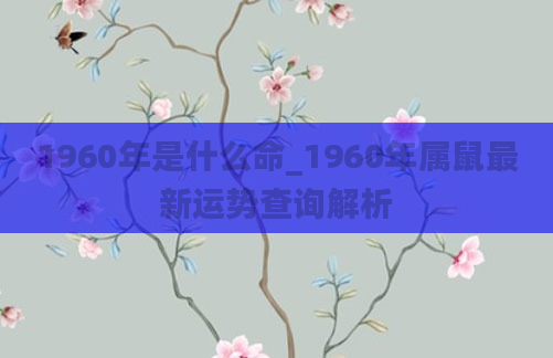 1960年是什么命_1960年属鼠最新运势查询解析