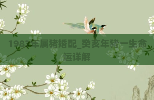1983年属猪婚配_癸亥年猪一生命运详解