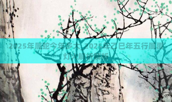 2025年属蛇今年多大_2025年乙巳年五行属覆灯火解析解析