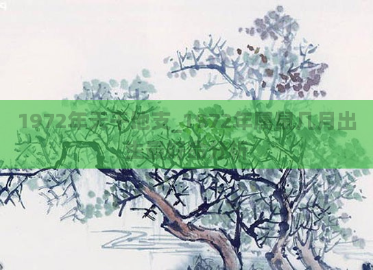 1972年天干地支_1972年属鼠几月出生最好命分析