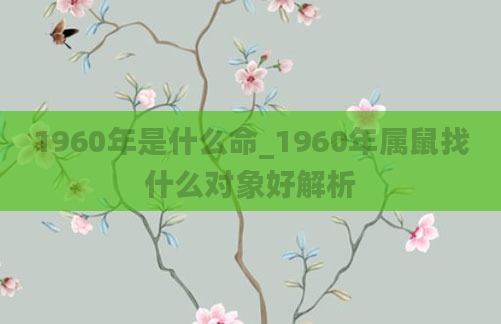1960年是什么命_1960年属鼠找什么对象好解析