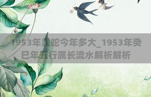1953年属蛇今年多大_1953年癸巳年五行属长流水解析解析
