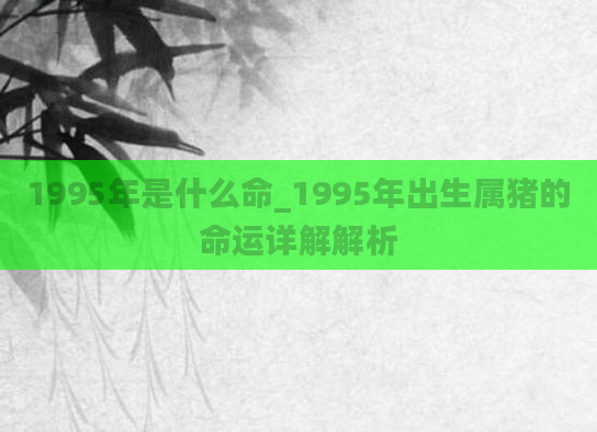 1995年是什么命_1995年出生属猪的命运详解解析