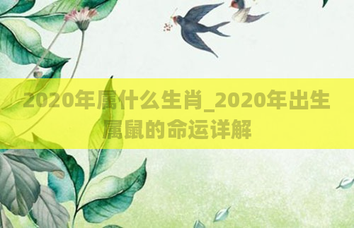 2020年属什么生肖_2020年出生属鼠的命运详解