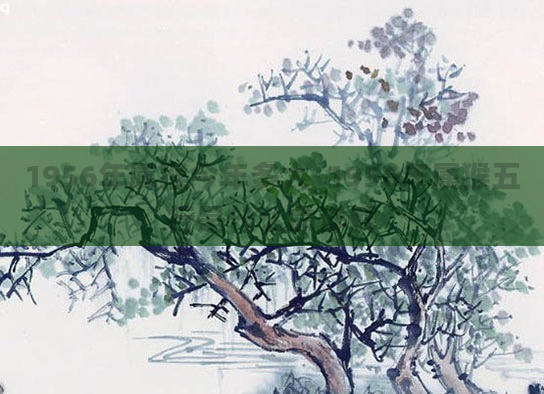 1956年属猴今年多大_1956年属猴五行是什么命详解