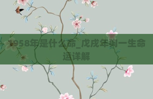 1958年是什么命_戊戌年狗一生命运详解