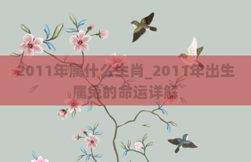 2011年属什么生肖_2011年出生属兔的命运详解