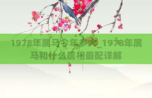 1978年属马今年多大_1978年属马和什么属相最配详解