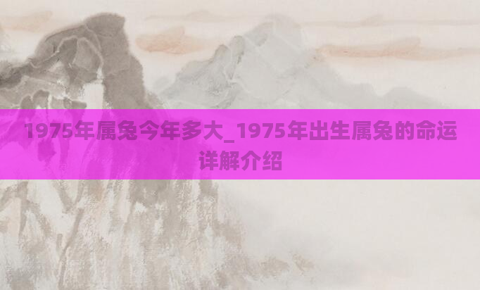1975年属兔今年多大_1975年出生属兔的命运详解介绍