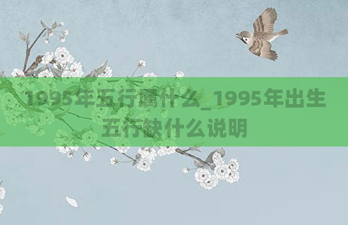 1995年五行属什么_1995年出生五行缺什么说明