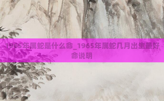 1965年属蛇是什么命_1965年属蛇几月出生最好命说明