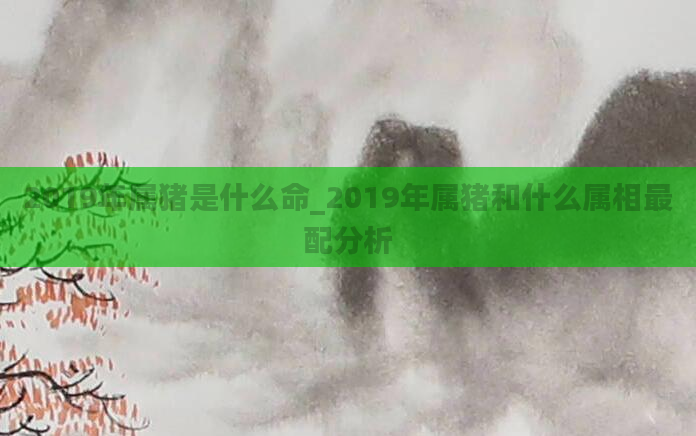 2019年属猪是什么命_2019年属猪和什么属相最配分析