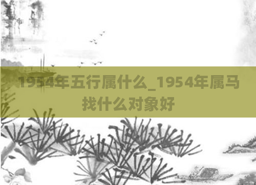 1954年五行属什么_1954年属马找什么对象好