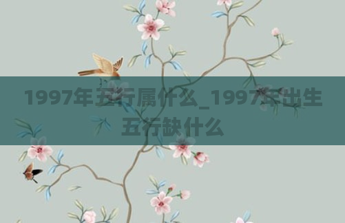 1997年五行属什么_1997年出生五行缺什么
