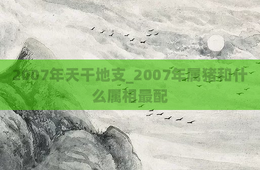 2007年天干地支_2007年属猪和什么属相最配