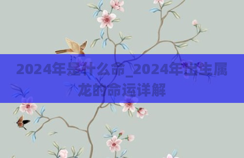2024年是什么命_2024年出生属龙的命运详解