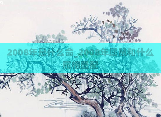 2008年是什么命_2008年属鼠和什么属相最配