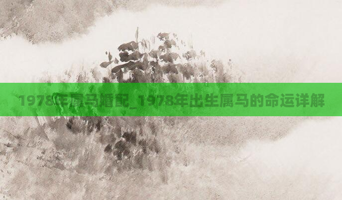 1978年属马婚配_1978年出生属马的命运详解