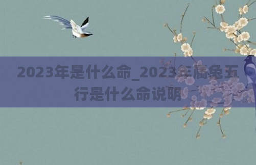 2023年是什么命_2023年属兔五行是什么命说明