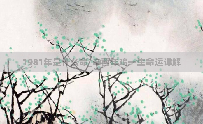 1981年是什么命_辛酉年鸡一生命运详解