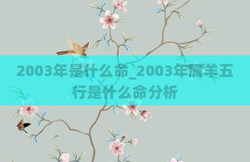 2003年是什么命_2003年属羊五行是什么命分析