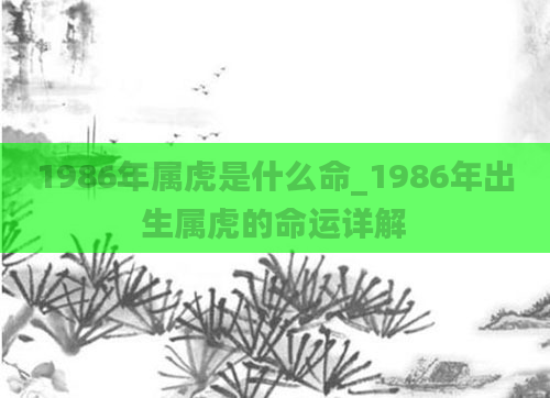 1986年属虎是什么命_1986年出生属虎的命运详解