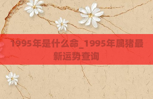 1995年是什么命_1995年属猪最新运势查询