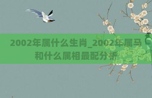 2002年属什么生肖_2002年属马和什么属相最配分析
