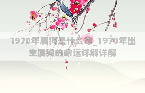 1970年属狗是什么命_1970年出生属狗的命运详解详解