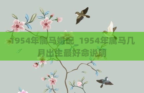 1954年属马婚配_1954年属马几月出生最好命说明