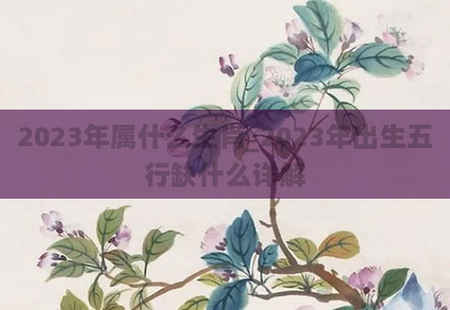2023年属什么生肖_2023年出生五行缺什么详解