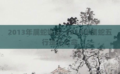 2013年属蛇婚配_2013年属蛇五行是什么命